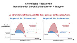 Chemische Reaktionen beschleunigt durch Katalysatoren