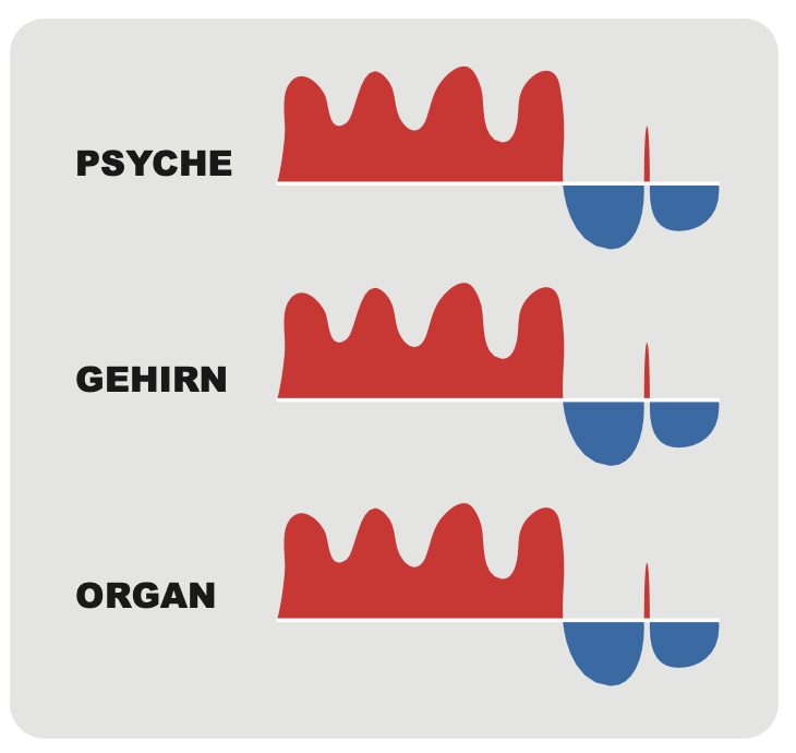 Gehirn, Organs / Gewebe und Psyche reagieren synchron