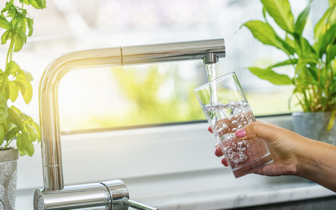 Wasserfilter: So finden Sie den richtigen für Ihren Bedarf